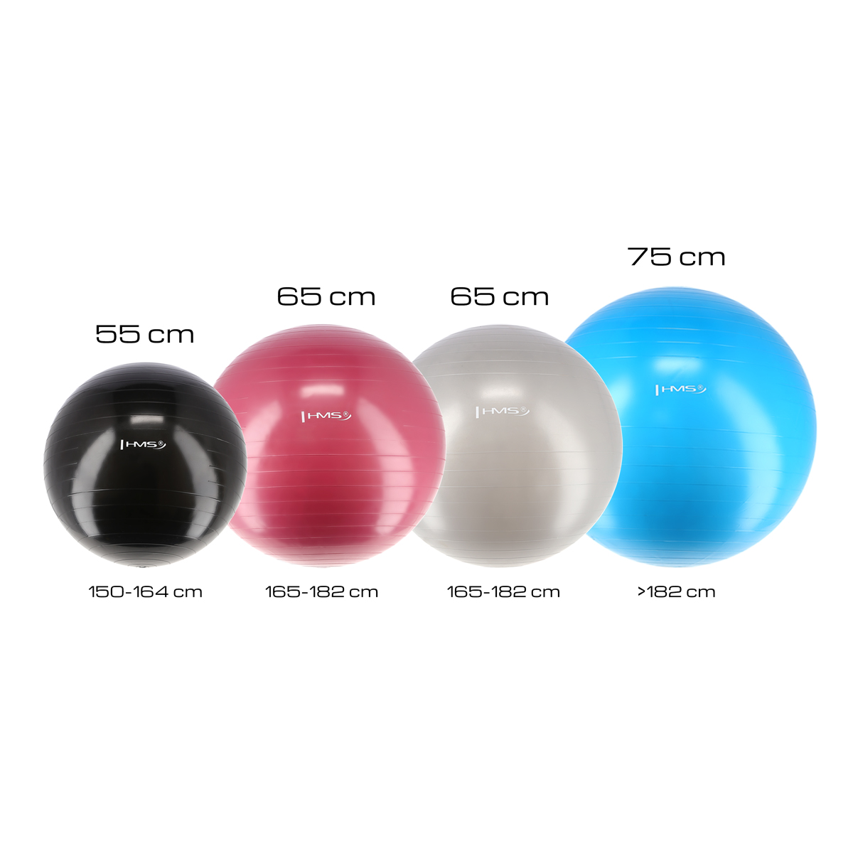 Gymnastický míč HMS YB01N 55 cm modrý