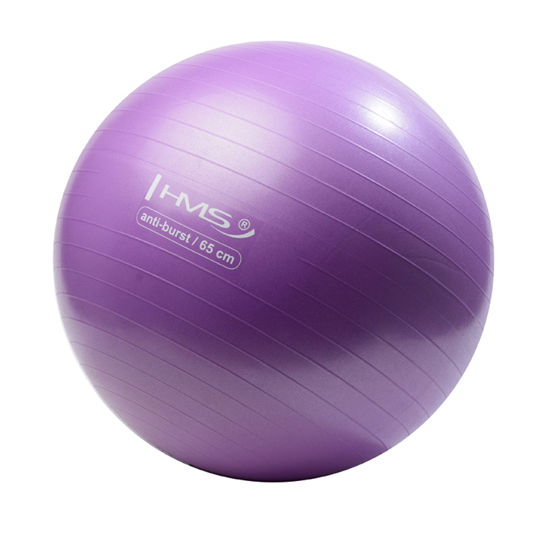 Gymnastický míč HMS YB02N 65 cm fialový