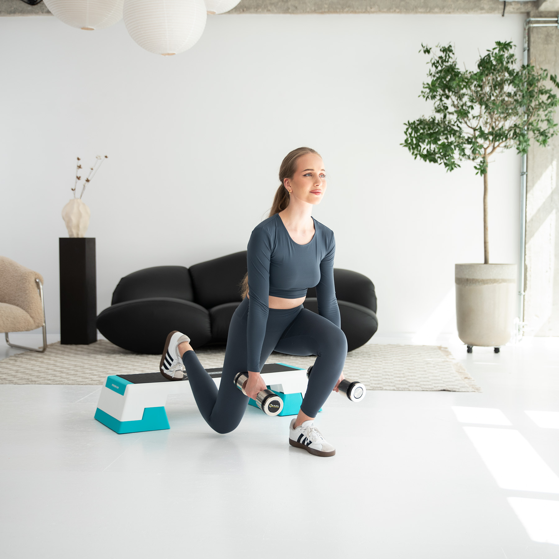 Step na aerobic HMS AS007 bílý/mentolový