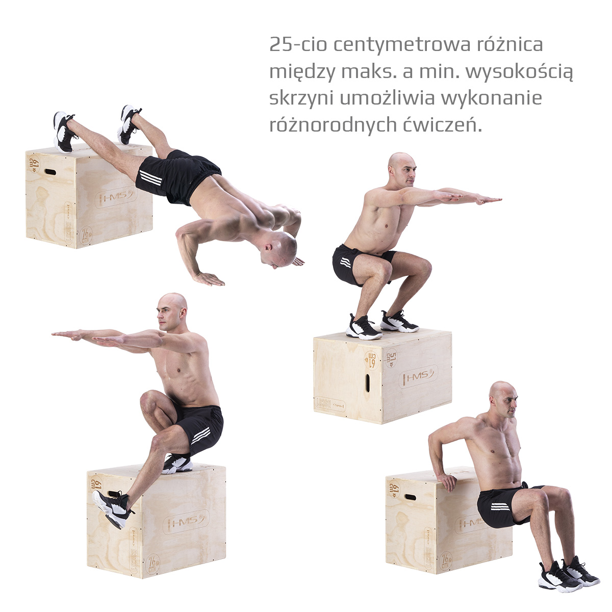 Plyo Box HMS DSC01